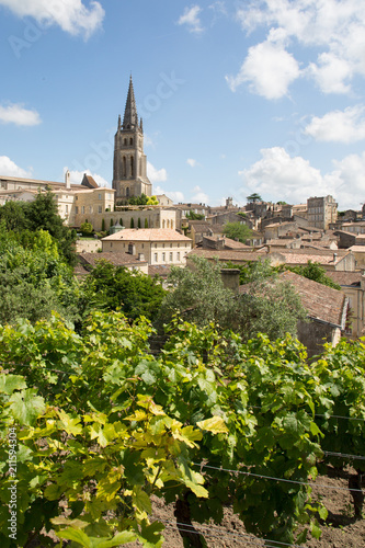 Vineyard landscape Saint Emilion near Bordeaux in France UNESCO World Heritage s Fototapet