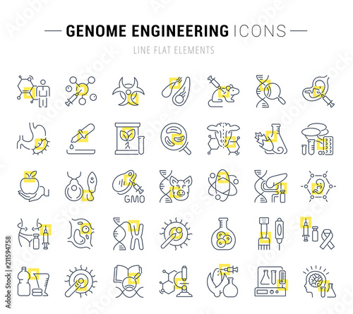 Set Vector Line Icons of Genome Engineering.