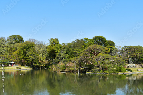 六義園の庭