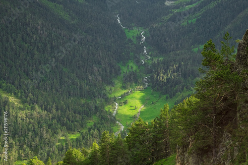 Mountain slopes overgrown with bright green grass and coniferous trees in the morning or evening light landscape background saver