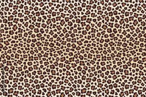 Leopard spots fur imitation, horizontal texture. Vector