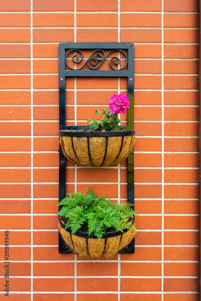 Fototapeta premium Iron wrought wall hanging plants planter/basket set.