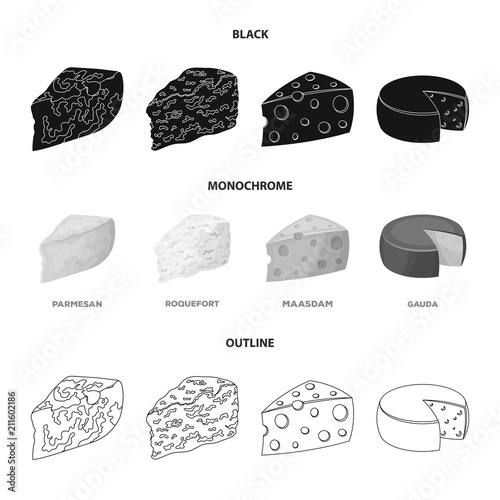 Parmesan, roquefort, maasdam, gauda.Different types of cheese set collection icons in black,monochrome,outline style vector symbol stock illustration web.