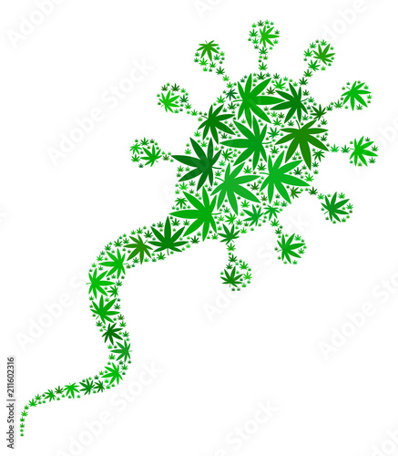Bloodsucker mosaic of marijuana leaves in various sizes and green tinges. Vector flat marijuana items are organized into bloodsucker mosaic. Drugs vector design concept.