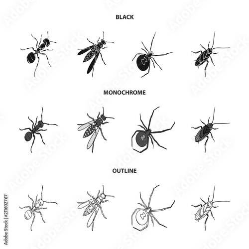 An insect arthropod, an osa, a spider, a cockroach. Insects set collection icons in black,monochrome,outline style vector symbol stock isometric illustration web.