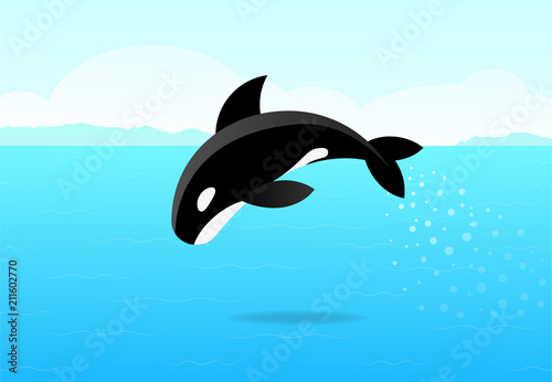 Killer whale jumping on sea  flat vector art