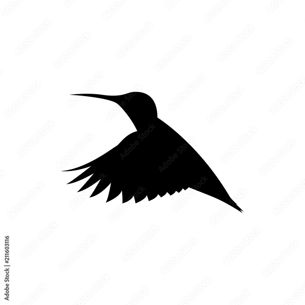 Obraz premium vector hummingbird silhouette