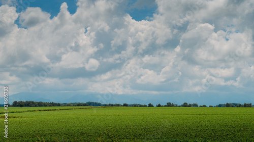 Plowed Fields near in Southwest France photo