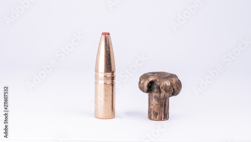 Shot & Expanded Bullet Tip 6