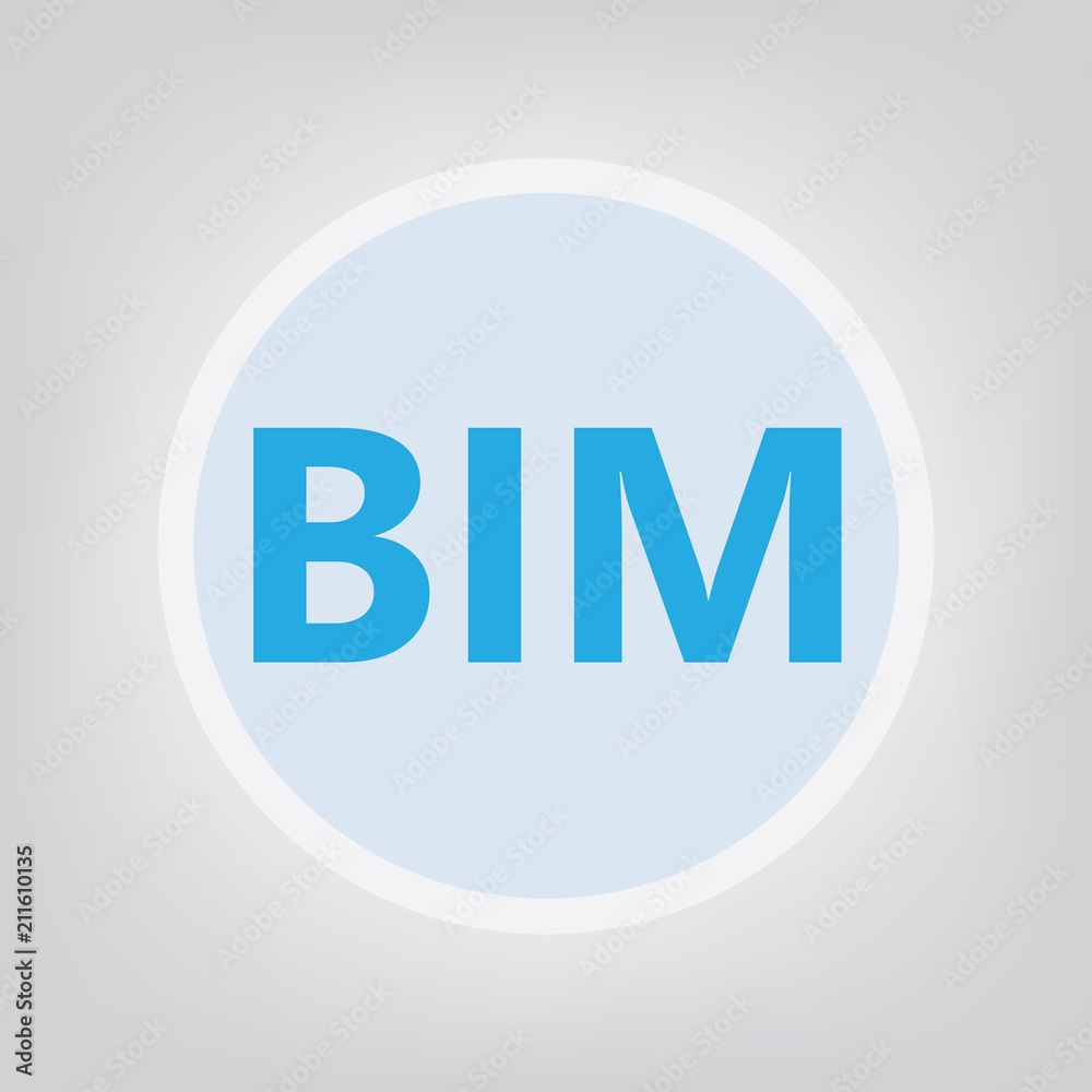 BIM (Building Information Modeling)- vector illustration BIM (Building Information Modeling)- vector illustration