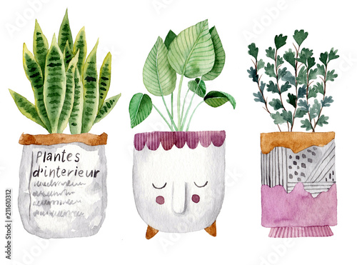 Cute pots for plants. Hand drawn watercolor illustrations photo