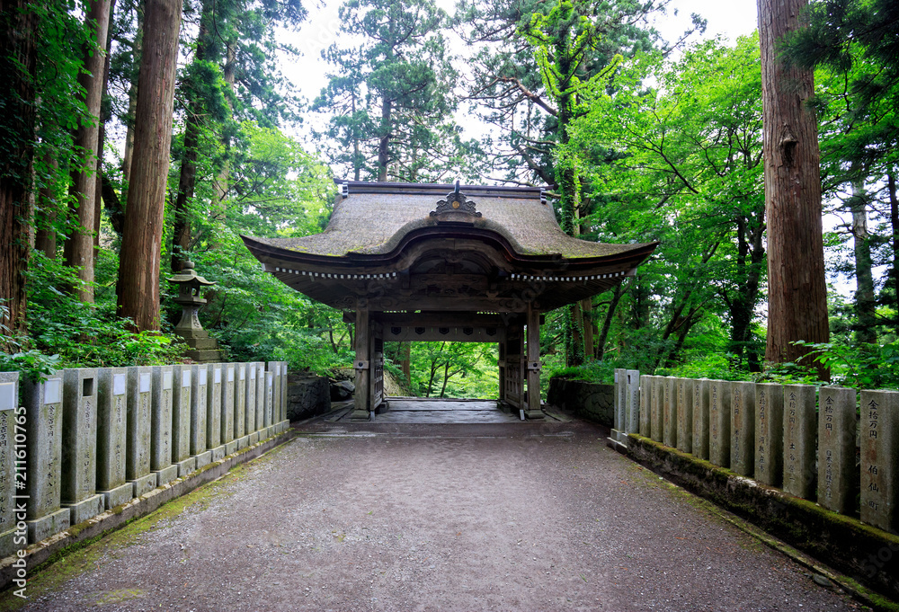 Obraz premium Stone pillars line walkway to Japanese wooden gate in forest