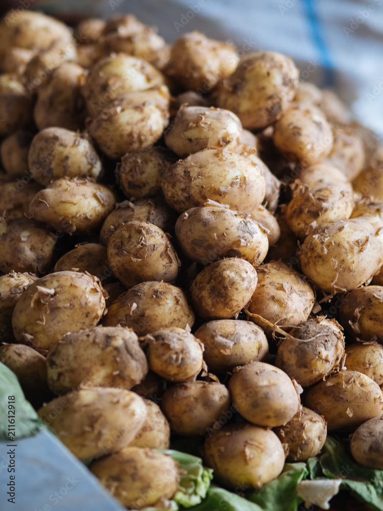 big bag of potatoes big bag of potatoes