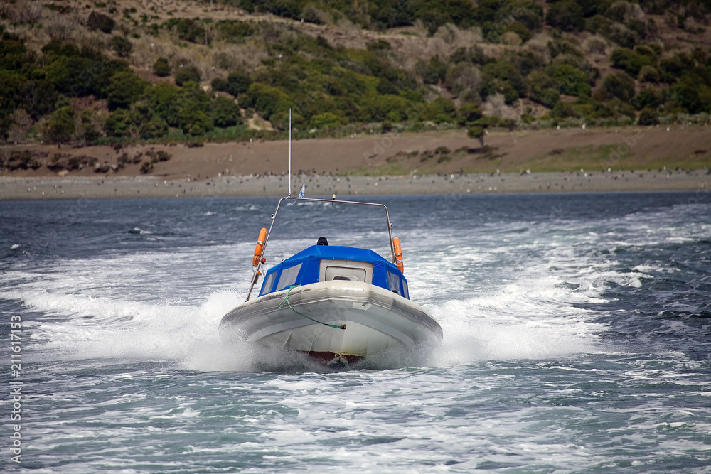 Fototapeta premium Speed boat in front of an island in Beagle Channel, Argentina