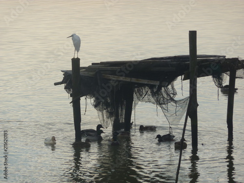 Alba nel delta del Po a Comacchio photo