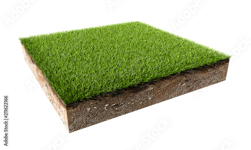 Green Grass Land Piece Isolated on White Background.