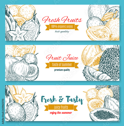 Vector sketch banners of tropical exotic fruits