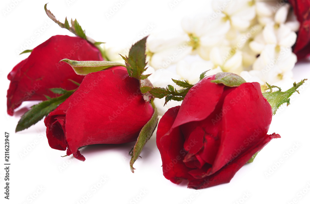 jasmine and rose garland isolated on white background jasmine and rose garland isolated on white background