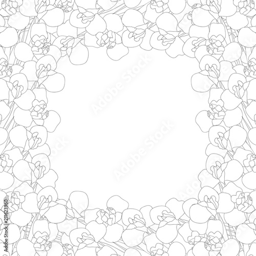 Fototapeta Naklejka Na Ścianę i Meble -  Iris Flower Outline Border on White Background. Vector Illustration.