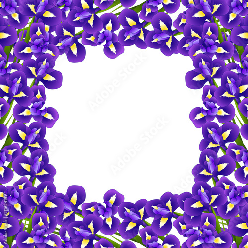 Fototapeta Naklejka Na Ścianę i Meble -  Iris Flower Border