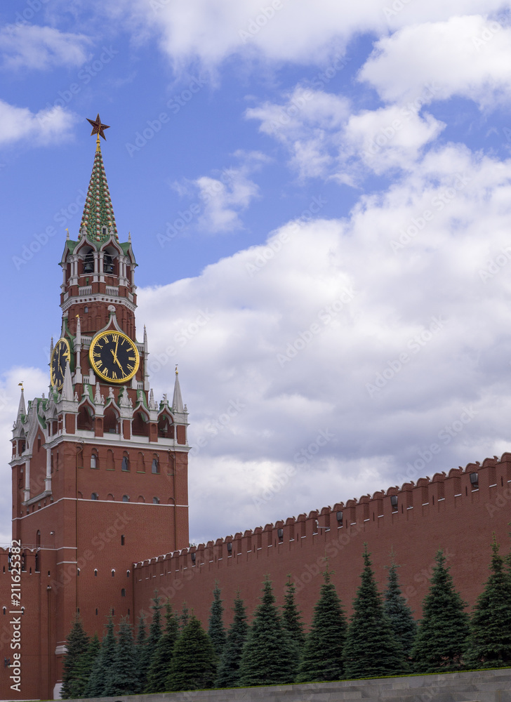 moscow kremlin wall with tower and fir-trees. background, travel