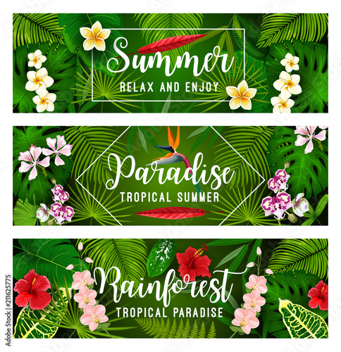 Tropical summer banner of palm leaf and flower