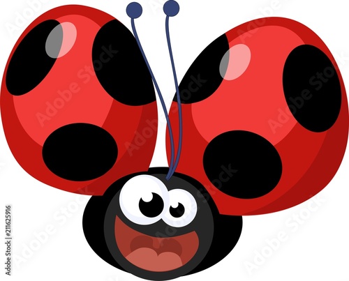 coccinella