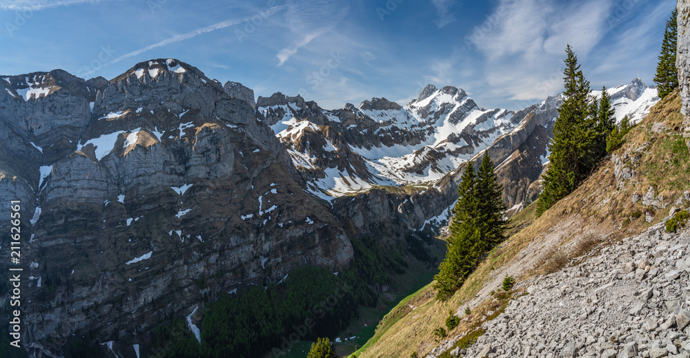 Swiss, Alps panorama view