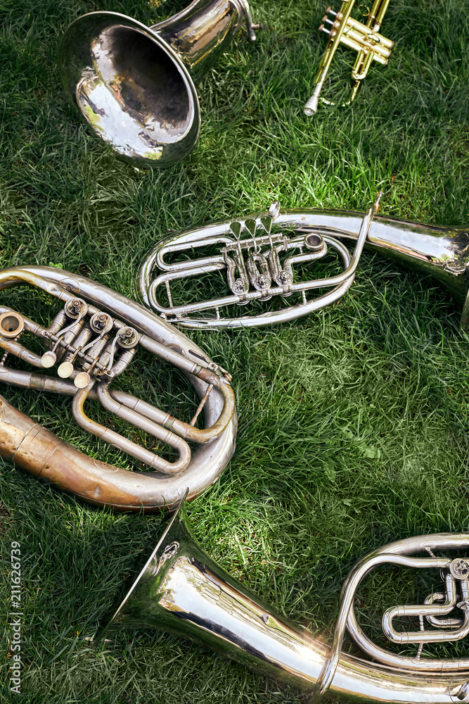 Obraz premium Several ancient musical wind instruments lie on the green grass in the park.