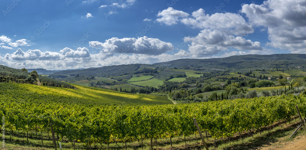 Landscape and Vineyards in Tuscany, Italy