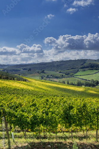 Landscape and Vineyards in Tuscany, Italy © pwmotion