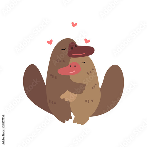 Couple of platypuses in love embracing each other, two happy  aniimals hugging with hearts over their head vector Illustration on a white background