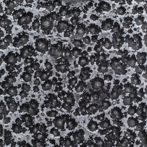 abstract texture under a microscope