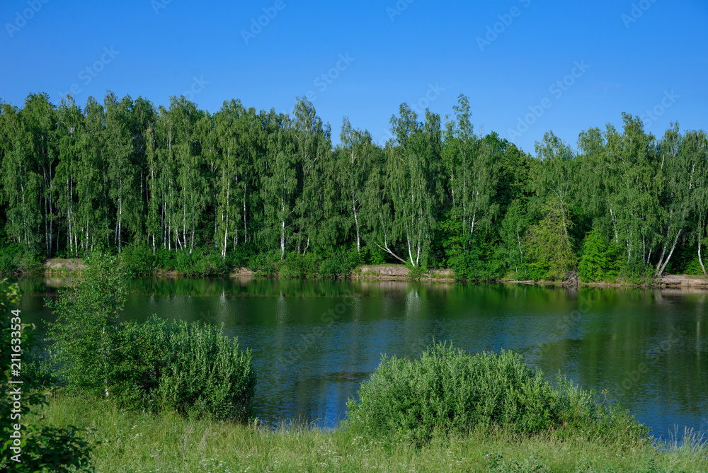 Beautiful view of the reservoir, river, with forest in the background, in summer, sunny.