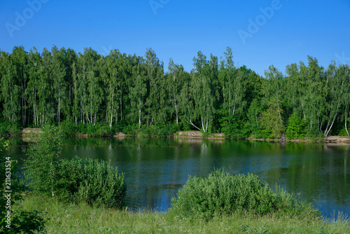 Beautiful view of the reservoir, river, with forest in the background, in summer, sunny.