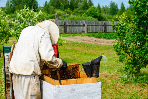 Unidentified beekeeper examining wooden box with bees