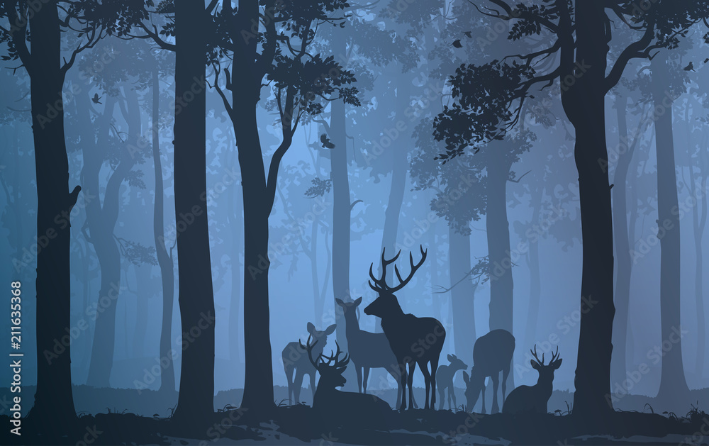 Obraz premium stado jeleni