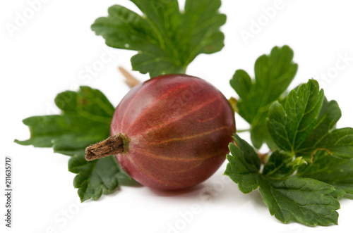 Eine rote Stachelbeere mit Blatt Nahaufnahme photo