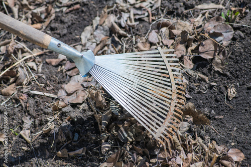 Cleaning dried leaves with fan rakes