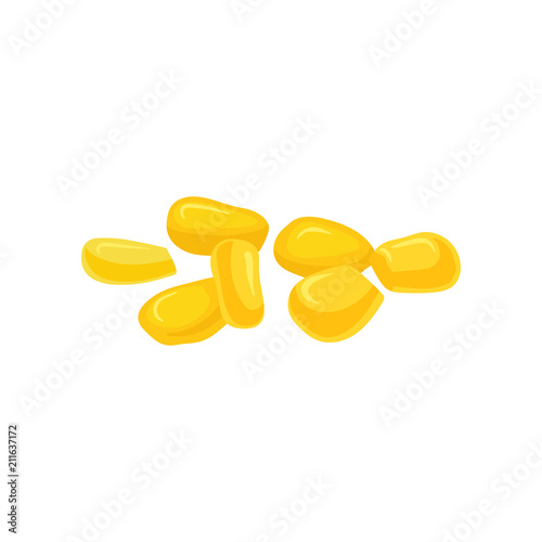 Sweet corn seeds, fresh organic vegetable vector Illustration on a white background