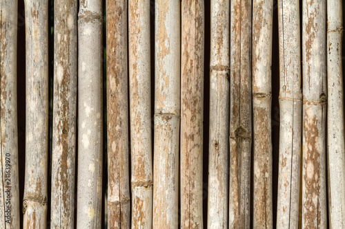 Close up bamboo fence background