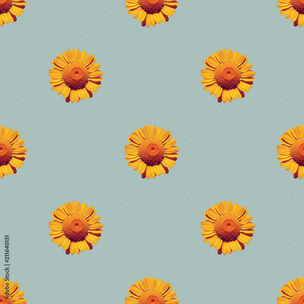 Seamless background with natural blooming yellow daisies