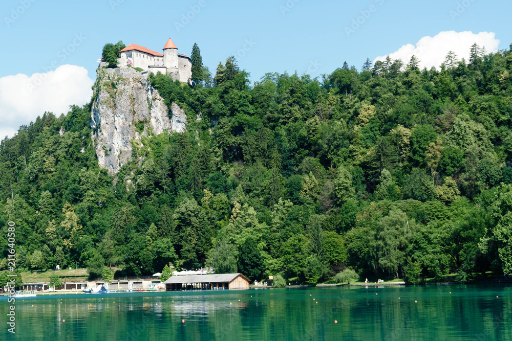 Castle on lake