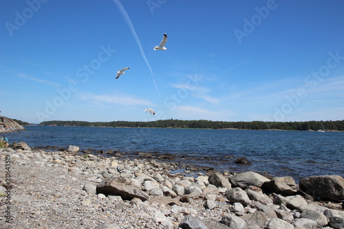 Sunny day in Sweden photo