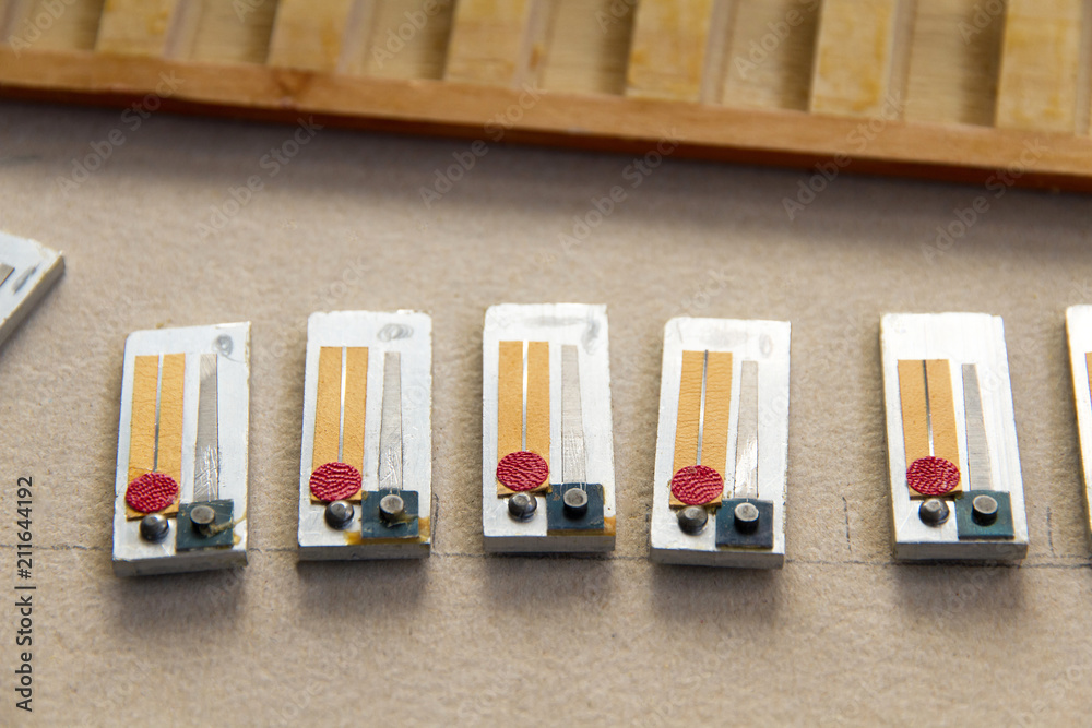 Naklejka premium Juego de lengüetas de una acordeón desmontado en proceso de restauracion y reparacion