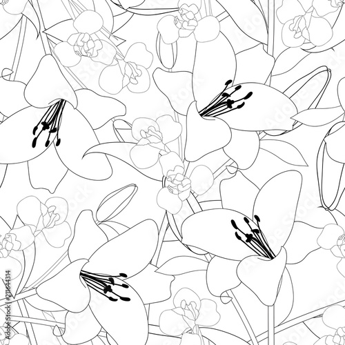Lily and Iris Flower Outlin...