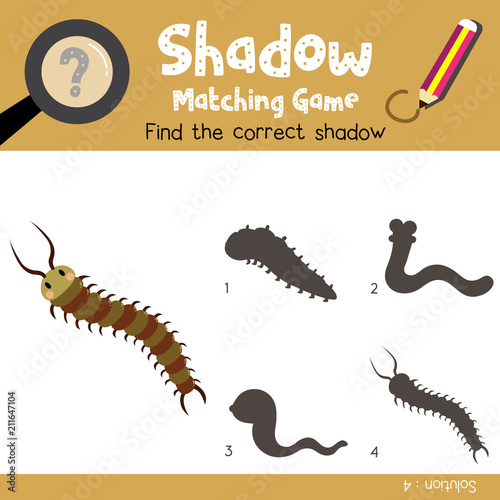 Shadow matching game of Cute Centipede animals for preschool kids activity worksheet colorful version. Vector Illustration.