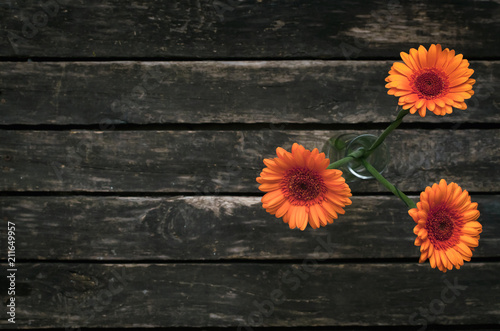 Gerbera flowers on wooden background with copy space.