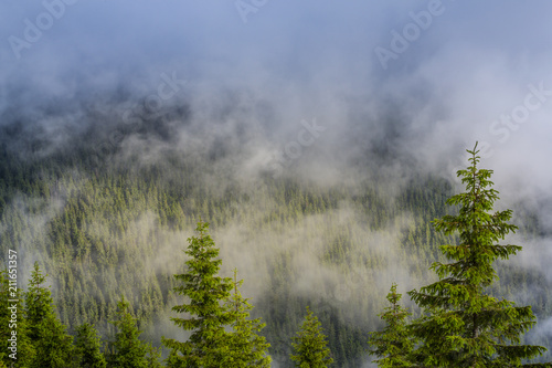 Beautiful mountain scenery with rain clouds and mist in spring © Calin Tatu