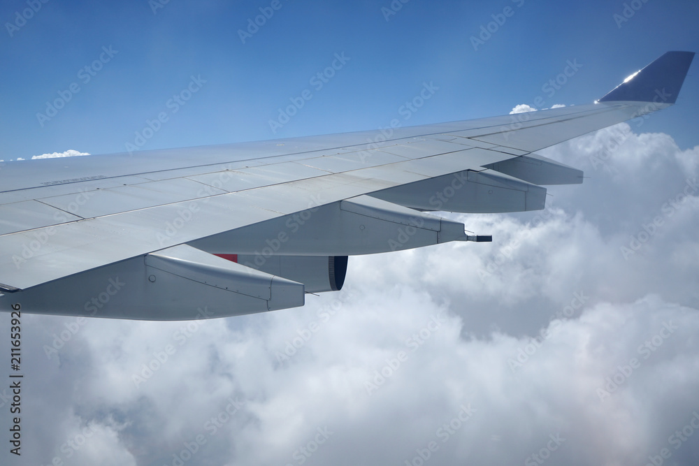 Wing of an airplane. Wing of an airplane.